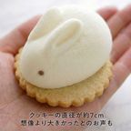 うさもっち 6個ボックス 【おもち専門スイーツMOTCH】 うさぎ チーズケーキ 和洋菓子 個包装 もちもち チーズムース おもち レアチーズ 餅 クリスマス2025  5