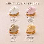 【誕生日ギフト】うさもっち 4種4個入〈おもち専門スイーツMOTCH〉 4