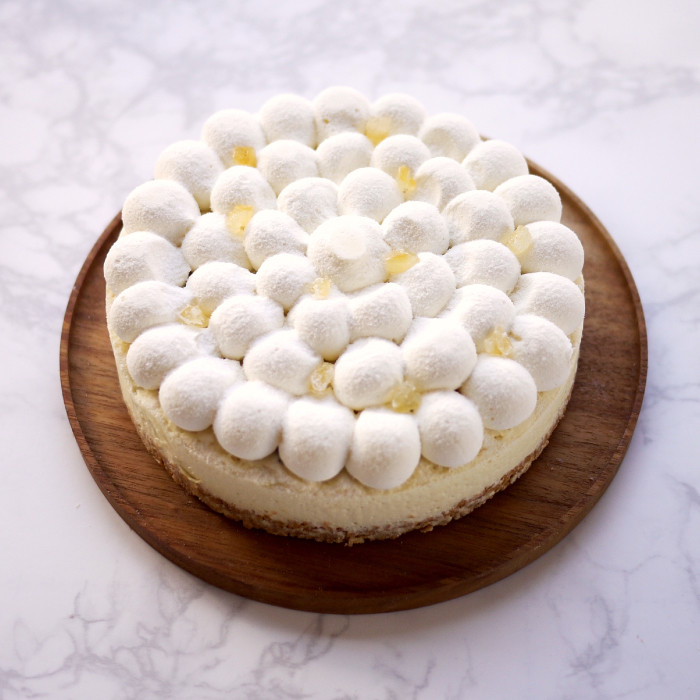 売上No.1 チーズケーキ (プレーン) 5号10個 アウトレット 大阪前田製菓