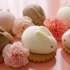 うさもっち 6個ボックス〈おもち専門スイーツMOTCH〉 うさぎ チーズケーキ 和洋菓子 個包装 もちもち チーズムース おもち レアチーズ 餅  母の日2026 1
