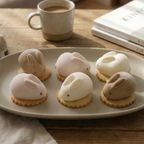 うさもっち 6個ボックス 【おもち専門スイーツMOTCH】 うさぎ チーズケーキ 和洋菓子 個包装 もちもち チーズムース おもち レアチーズ 餅 クリスマス2025  6