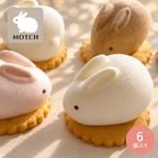 うさもっち 6種6個入〈おもち専門スイーツMOTCH〉 うさぎ チーズケーキ 和洋菓子 個包装 もちもち チーズムース おもち レアチーズ 餅   ハロウィン2026  1