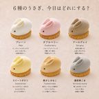 うさもっち 6種6個入〈おもち専門スイーツMOTCH〉 うさぎ チーズケーキ 和洋菓子 個包装 もちもち チーズムース おもち レアチーズ 餅  お中元2026  アイス2026 4