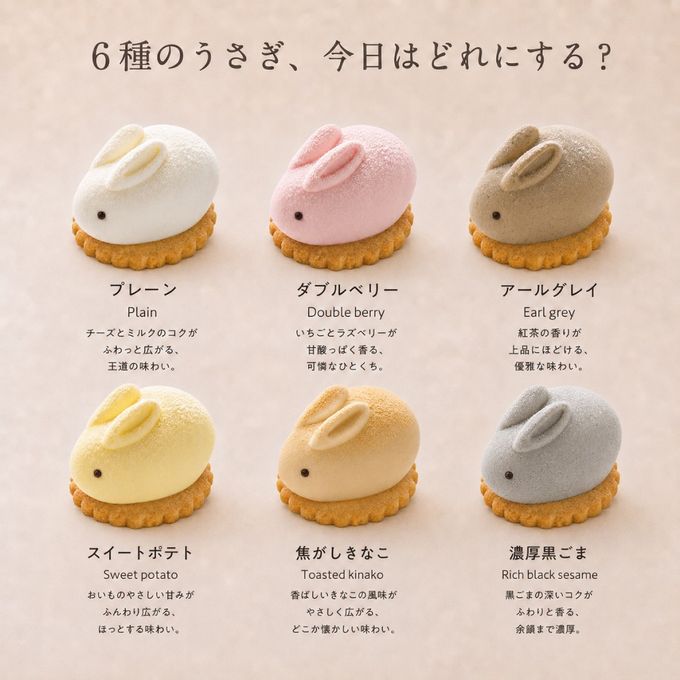うさもっち 6種6個入〈おもち専門スイーツMOTCH〉 うさぎ チーズケーキ 和洋菓子 個包装 もちもち チーズムース おもち レアチーズ 餅  お中元2026  アイス2026 4