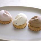 【うさもっち 6個ボックス MOTCH】うさぎ チーズケーキ チーズムース おもち レアチーズ 餅  6