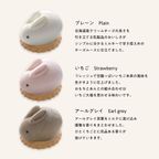 【うさもっち 6個ボックス MOTCH】うさぎ チーズケーキ チーズムース おもち レアチーズ 餅  4