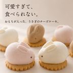 うさもっち4個ボックス〈おもち専門スイーツMOTCH〉 うさぎ チーズケーキ 和洋菓子 個包装 もちもち チーズムース おもち レアチーズ 餅 父の日2026   2