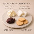 うさもっち4個ボックス〈おもち専門スイーツMOTCH〉 うさぎ チーズケーキ 和洋菓子 個包装 もちもち チーズムース おもち レアチーズ 餅 父の日2026   5