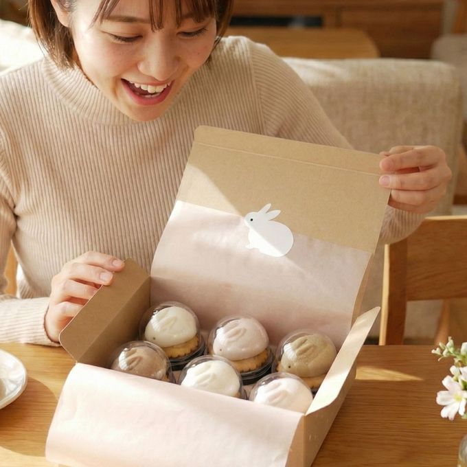 うさもっち 6個ボックス 【おもち専門スイーツMOTCH】 うさぎ チーズケーキ 和洋菓子 個包装 もちもち チーズムース おもち レアチーズ 餅 クリスマス2025  7