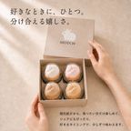 【誕生日ギフト】うさもっち 4種4個入〈おもち専門スイーツMOTCH〉 6