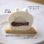 うさもっち 6個ボックス 【おもち専門スイーツMOTCH】 うさぎ チーズケーキ 和洋菓子 個包装 もちもち チーズムース おもち レアチーズ 餅 クリスマス2025  3