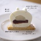 【うさもっち 6個ボックス MOTCH】うさぎ チーズケーキ チーズムース おもち レアチーズ 餅  3