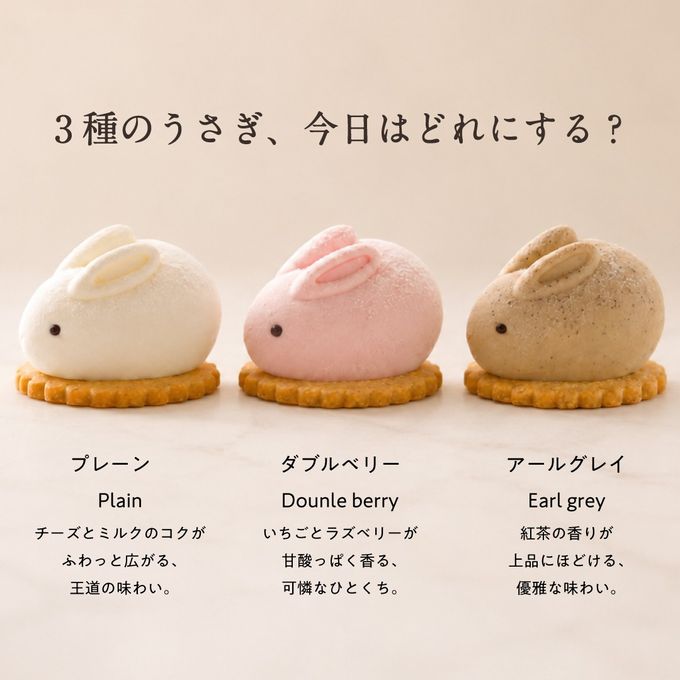 うさもっち4個ボックス〈おもち専門スイーツMOTCH〉 うさぎ チーズケーキ 和洋菓子 個包装 もちもち チーズムース おもち レアチーズ 餅 父の日2026   4