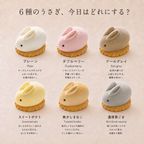 【誕生日ギフト】うさもっち 6種6個入〈おもち専門スイーツMOTCH〉 4