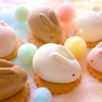 うさもっち 6個ボックス〈おもち専門スイーツMOTCH〉 うさぎ チーズケーキ 和洋菓子 個包装 もちもち チーズムース おもち レアチーズ 餅 父の日2026  