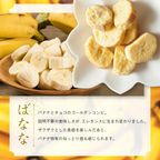 芦屋・寿果実 16袋セット【贈答箱】※父の日2026 7