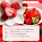 芦屋・寿果実 16袋セット【贈答箱】※父の日2026 4