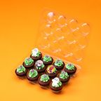 ミニグリーンハロウィンボックス（ミニカップケーキ12個）ハロウィン2026 2