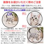 フォトアルバムカップケーキ6個セット☆選べる10色【写真/メッセージ/名前入り】 5
