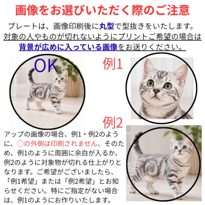 フォトアルバムカップケーキ6個セット☆選べる10色【写真/メッセージ/名前入り】 5