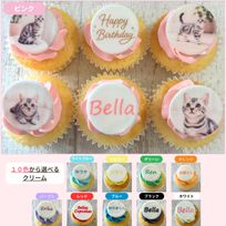 フォトアルバムカップケーキ6個セット☆選べる10色【写真/メッセージ/名前入り】