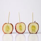 【Candy apple】数量限定！もぎたて季節のりんご飴Aセット 2