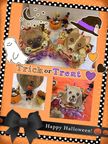 《犬用》【10月季節のケーキ】ハロウィン 似顔絵ケーキ 12cm ハロウィン 2024 3