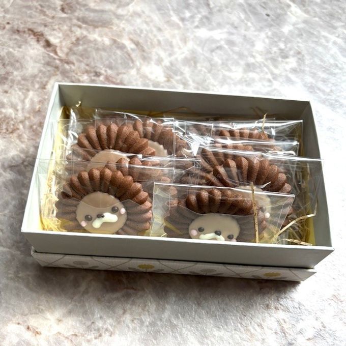 ライオンクッキー 10枚BOX 5