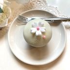 バースデー チョコレート 8個入り 6