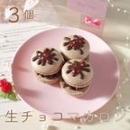 Kitty Sweets 贅沢マカロン【4,500円相当】 福袋2022 3