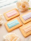 プレート アイシングクッキー  9