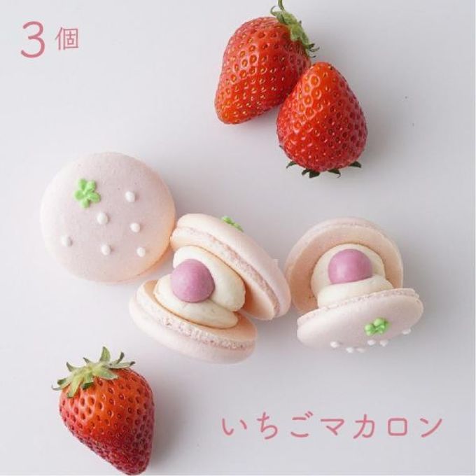 Kitty Sweets 贅沢マカロン【4,500円相当】 福袋2022 2