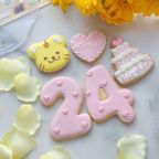 トラアイシングクッキー付き誕生日 5枚セット 3