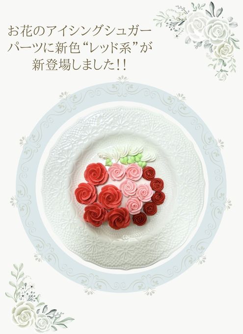 レッド系 2