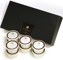 プレミアムほうじ茶アイス（黒ほうじ味 8個入り）ice-houjicha 