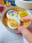 【ギフトセット】ドライフルーツとお花のアイシングクッキー 2