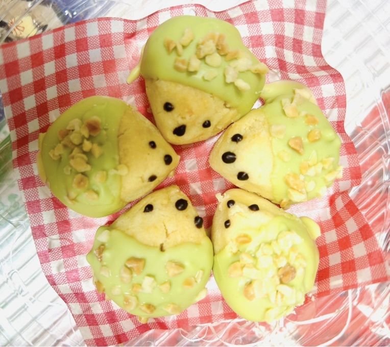 ハリネズミのはりちゃんクッキーお抹茶チョコ味  母の日2026 1