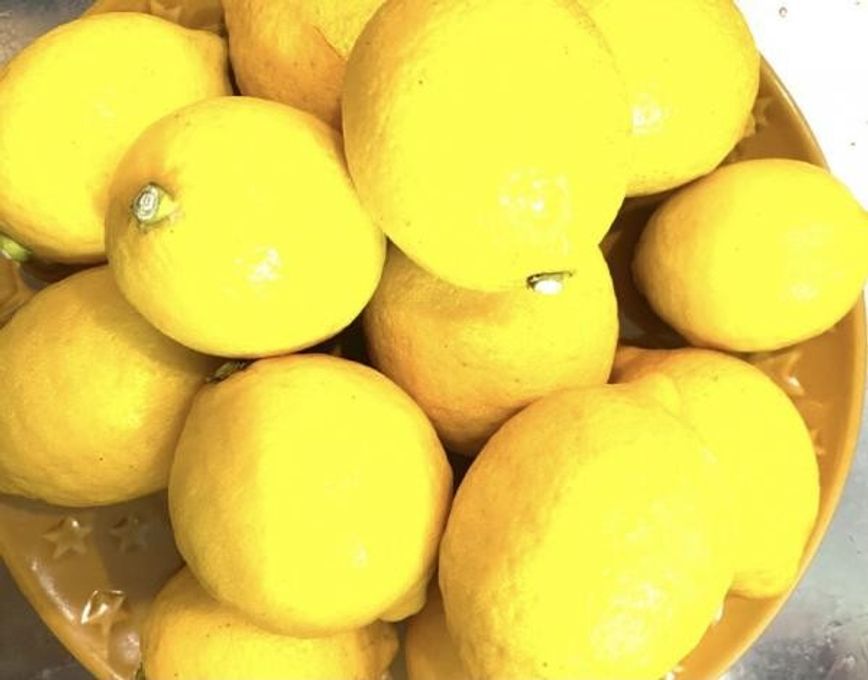 シマ農園さんの瀬戸内大玉レモンをギュギュッと詰め込んだパウンドケーキ ウィークエンドシトロン  3