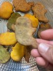 ワンちゃん用ハロウィンクッキー ハロウィン2026 6