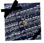 【ミュージックサブレセット】音楽モチーフの箱に入ったサブレギフト 9