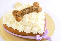 【犬用ケーキ ハート】 犬用デコレーションケーキ(人間も食べられる犬の誕生日ケーキ) 12cm×10cm 1