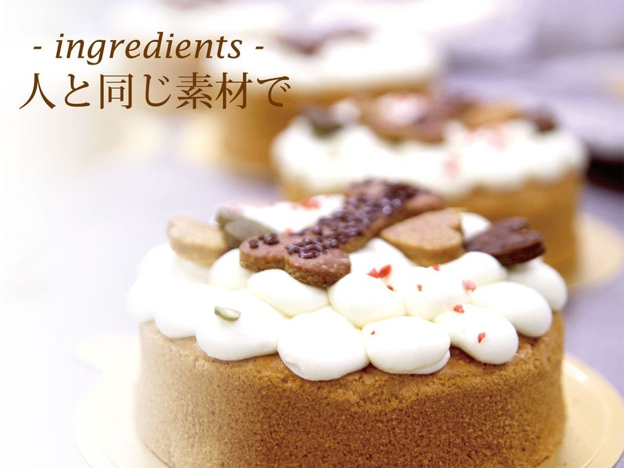 【犬用ケーキ米粉とガトーショコラクラシックのセット】(送料無料)ワンコ用ケーキと人用ケーキのセットです 5