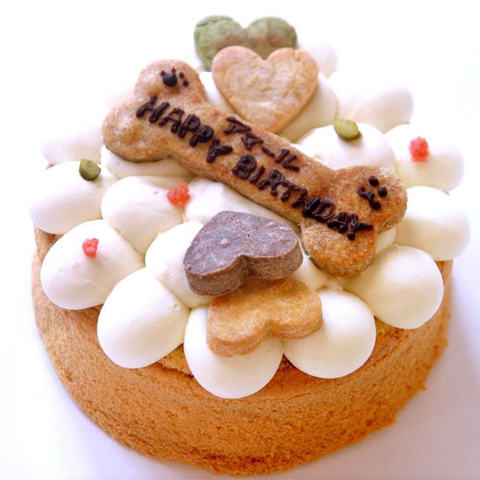 【犬用ケーキ米粉とガトーショコラクラシックのセット】(送料無料)ワンコ用ケーキと人用ケーキのセットです 2