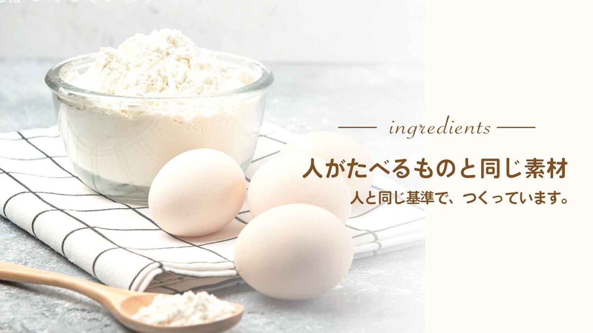 【6個セットギフト】ワンコのためのシュークリーム（犬用ケーキ） 8