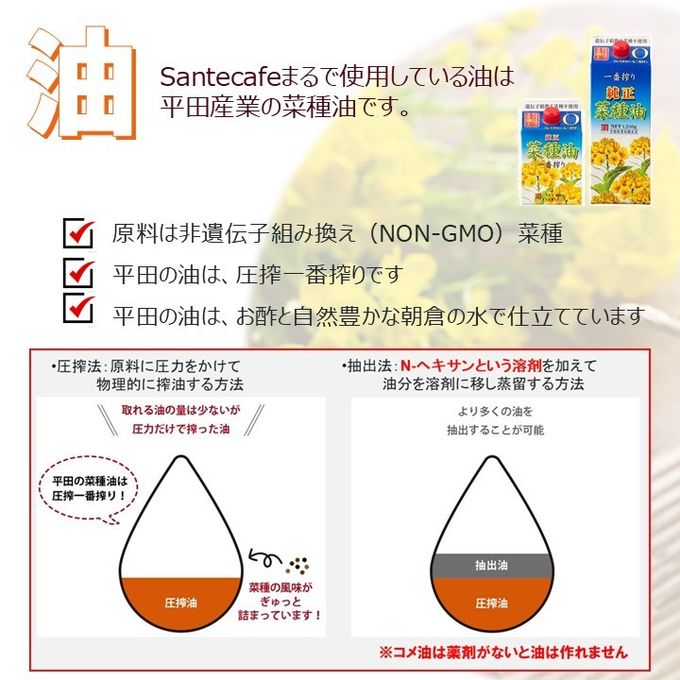 グルテンフリー ヴィーガン 米粉ガトーショコラ 18cm《ヴィーガンスイーツ》  9