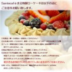 グルテンフリー ヴィーガン ローケーキ（塩バニラ） 12cm【ヴィーガンスイーツ・ヴィーガンケーキ】  7