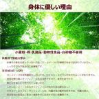 グルテンフリー ヴィーガン ローケーキ（塩バニラ） 15cm《ヴィーガンスイーツ・ヴィーガンケーキ》 6