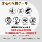 グルテンフリー ヴィーガン 米粉ガトーショコラ 18cm《ヴィーガンスイーツ》  5