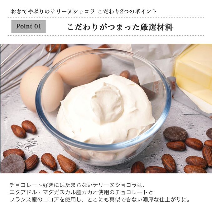 おきてやぶりのテリーヌショコラ 5
