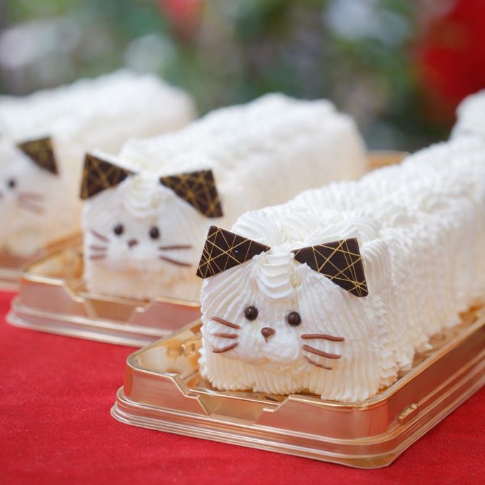 ねこちゃんケーキ（苺ババロア） 1